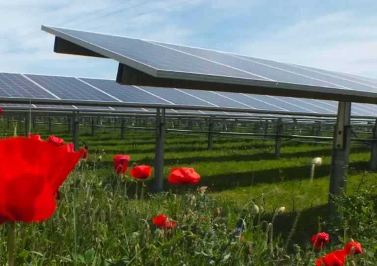 Projet-photovoltaïque-Montfaucon